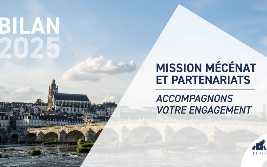 Motion design Mécénat Ville de Blois